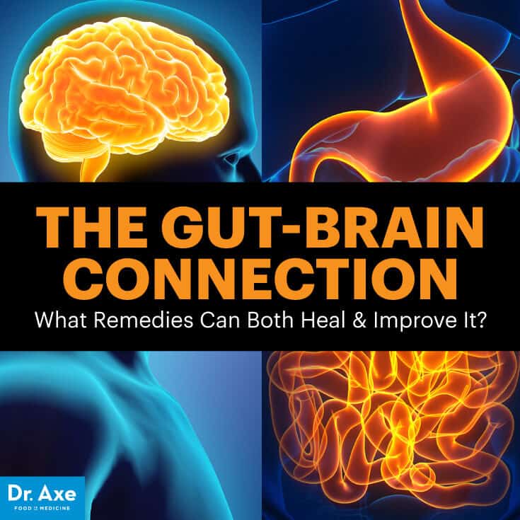 Gut-brain connection - Dr. Axe