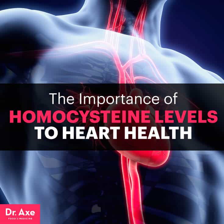Homocysteine levels - Dr. Axe