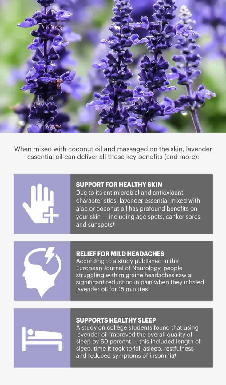 Lavender oil benefits graphic
