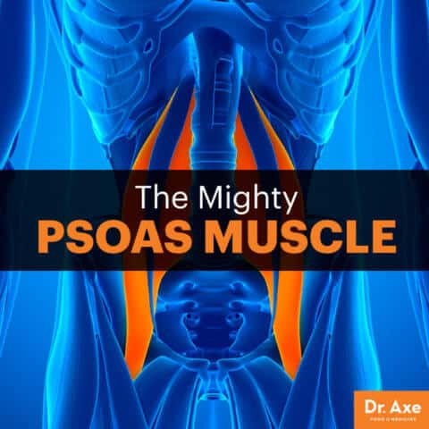 Psoas Muscle: Is a Weak Psoas the Cause of Your Back Pain? - Dr. Axe