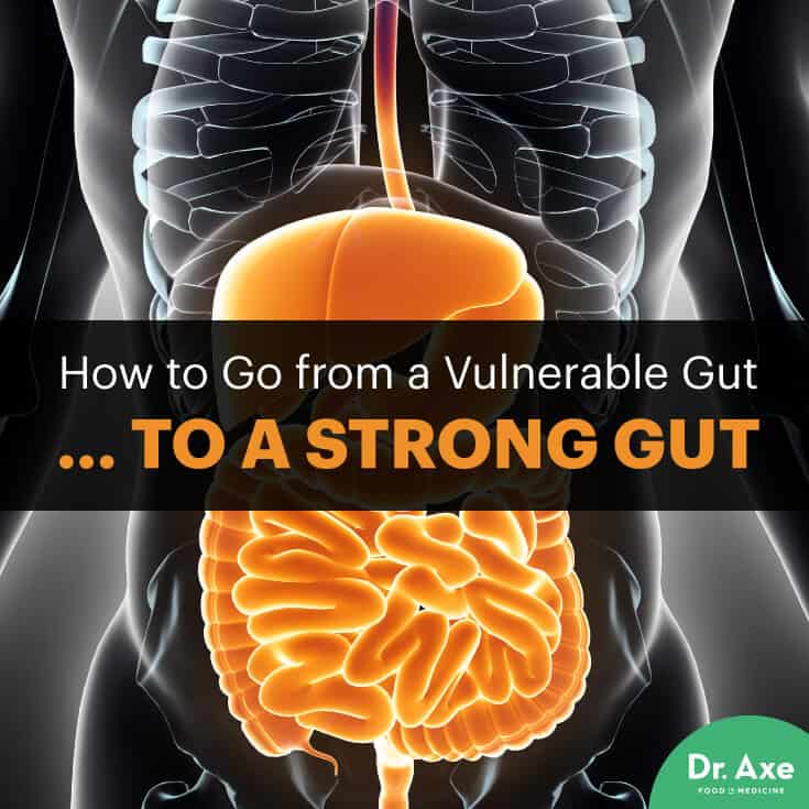 Strong gut - Dr. Axe