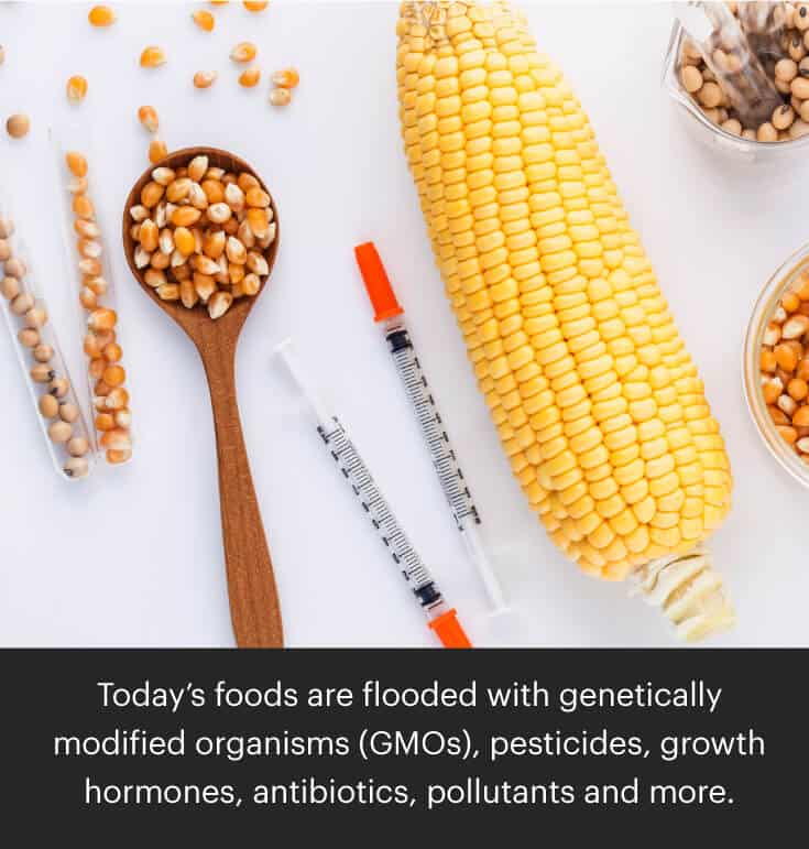 GMOs