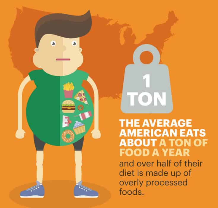American diet graphic