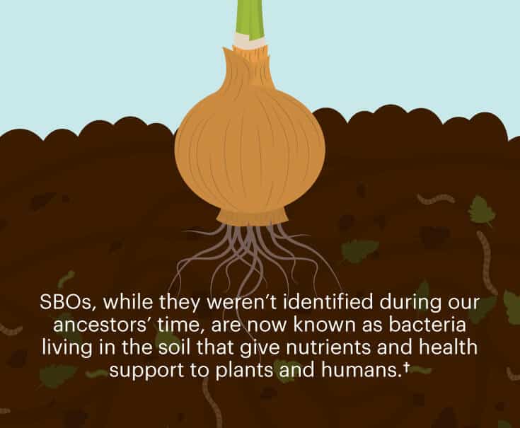 SBOs graphic
