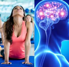 How yoga changes your brain - Dr. Axe