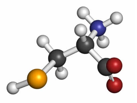 Amino acids