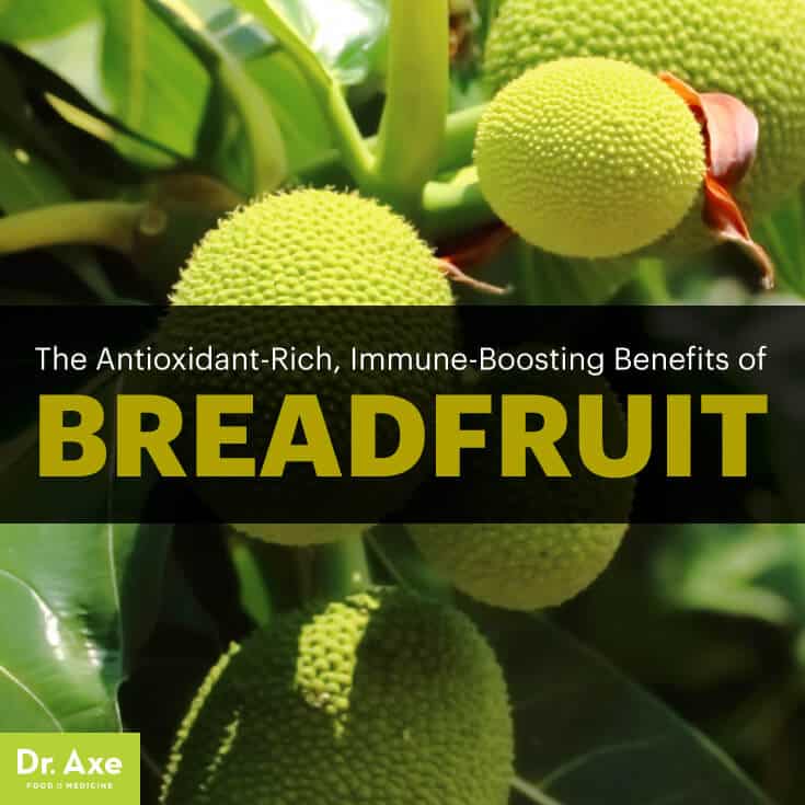 Breadfruit - Dr. Axe