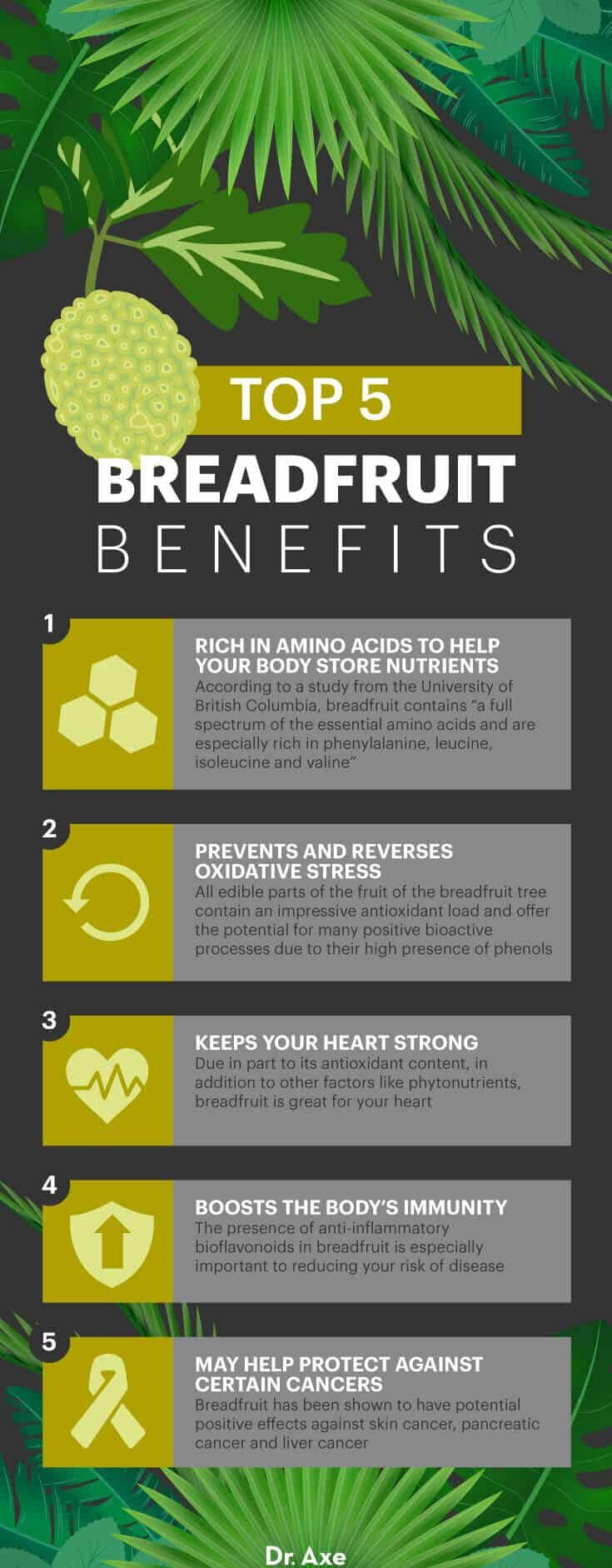 Breadfruit benefits - Dr. Axe