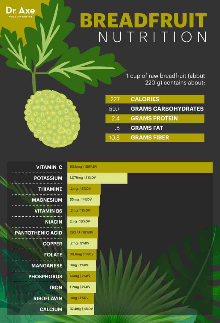 Breadfruit Benefits Nutrition Facts And How To Use Dr Axe