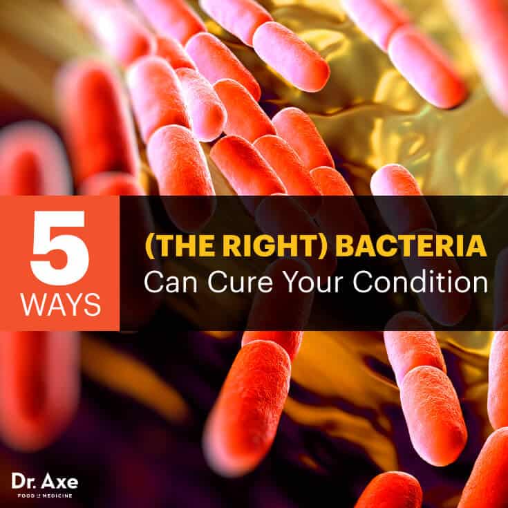Gut bacteria benefits - Dr. Axe
