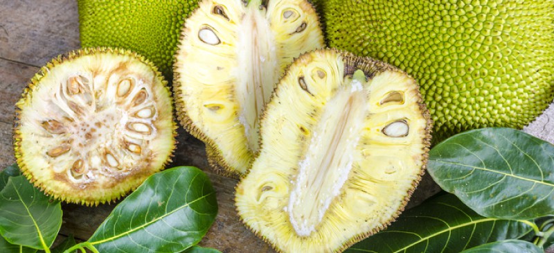 Jackfruit benefits- Dr. Axe