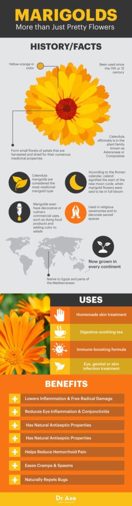 Marigolds Health Benefits and How to Use - Dr. Axe