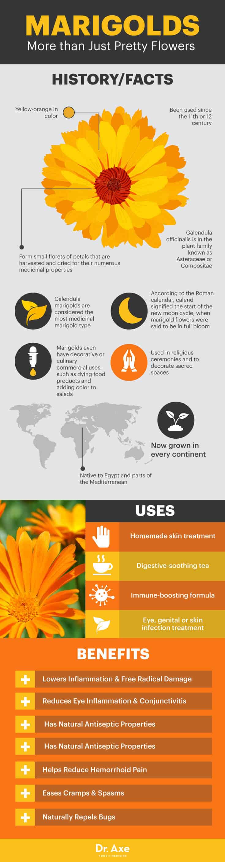 Guide to marigolds
