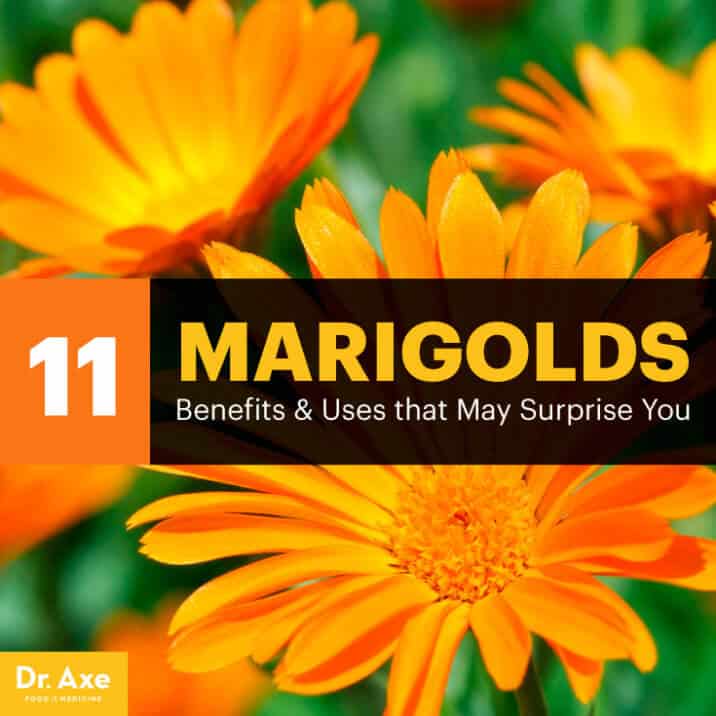 Marigolds Health Benefits and How to Use - Dr. Axe