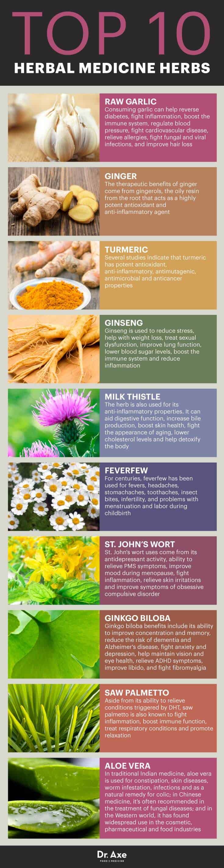 Top 10 medicinal herbs - Dr. Axe