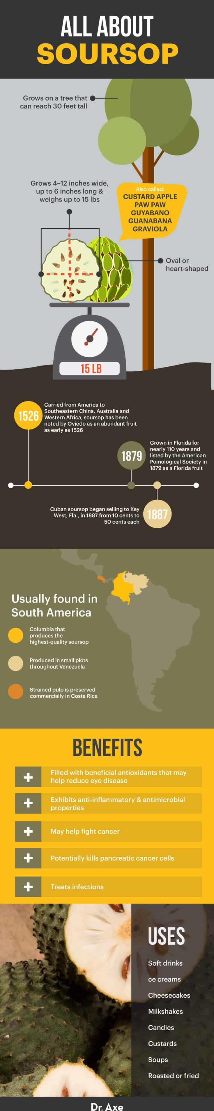 All about soursop - Dr. Axe