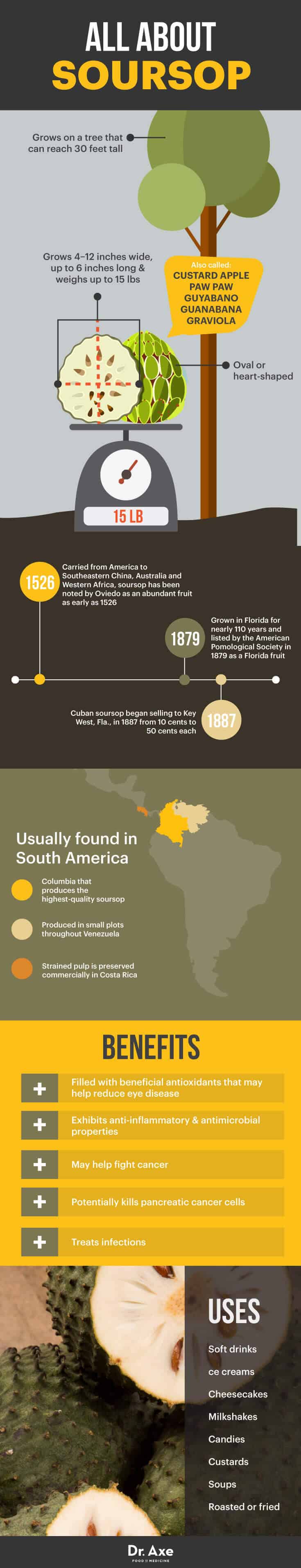 All about soursop - Dr. Axe