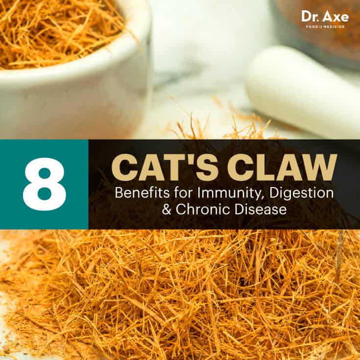 What does cats claw treat