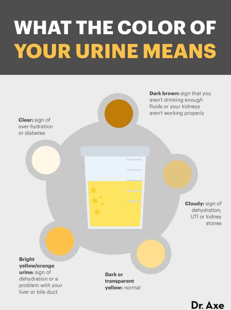 What the color of your urine means - Dr. Axe