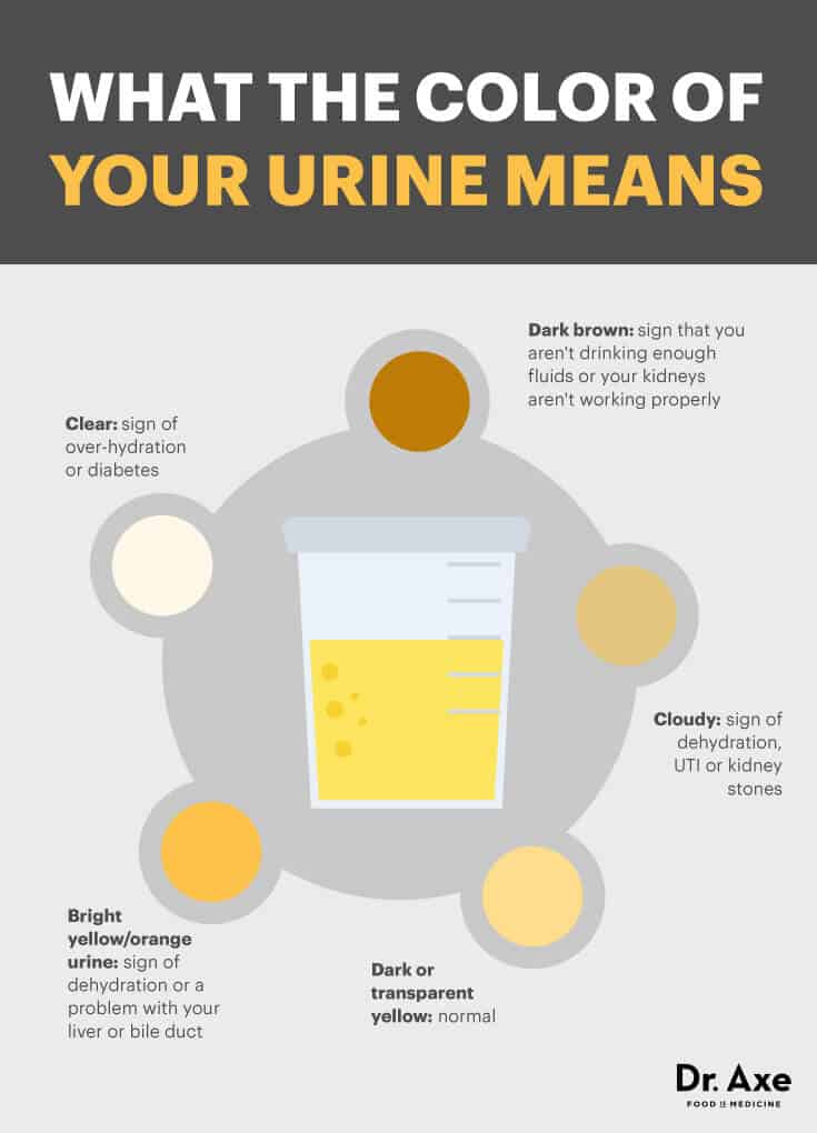 What the color of your urine means - Dr. Axe