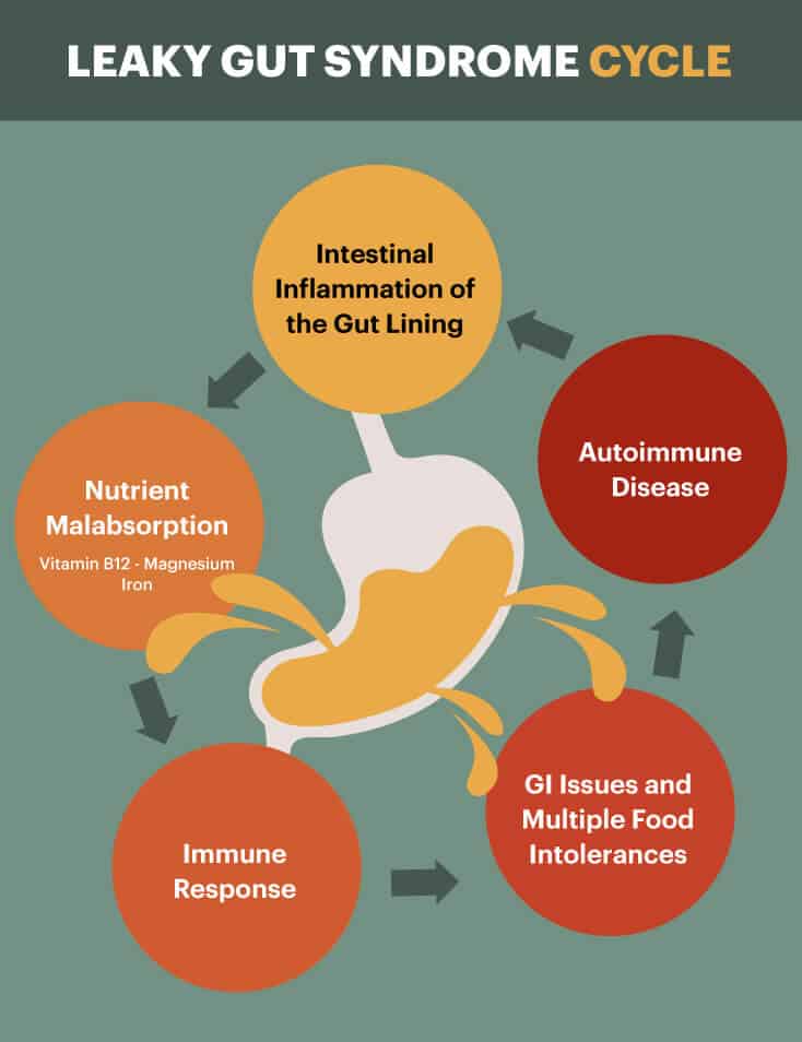 Leaky gut cycle - Dr. Axe