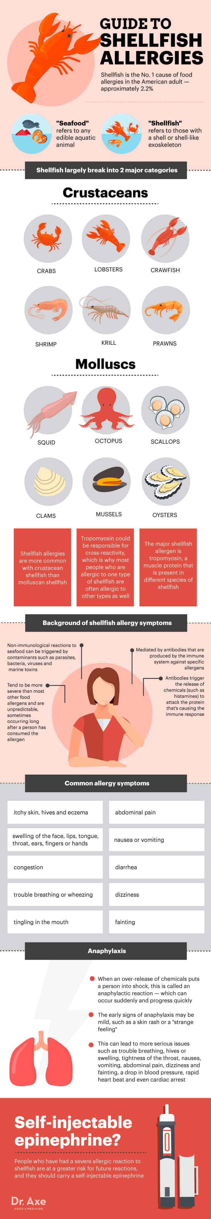 Guide to shellfish allergy