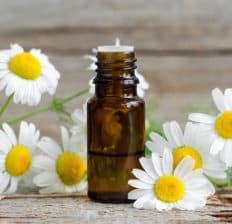 Roman chamomile essential oil - Dr. Axe