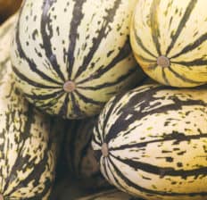 Delicata squash - Dr. Axe