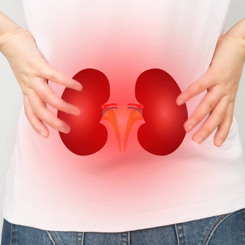 Types of Foods Your Shouldn't Eat If You Have Kidney Disease