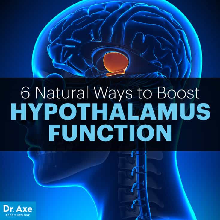 Hypothalamus function - Dr. Axe