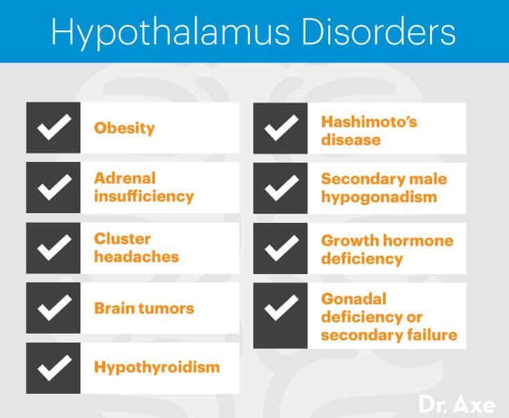 Hypothalamus disorders - Dr. Axe