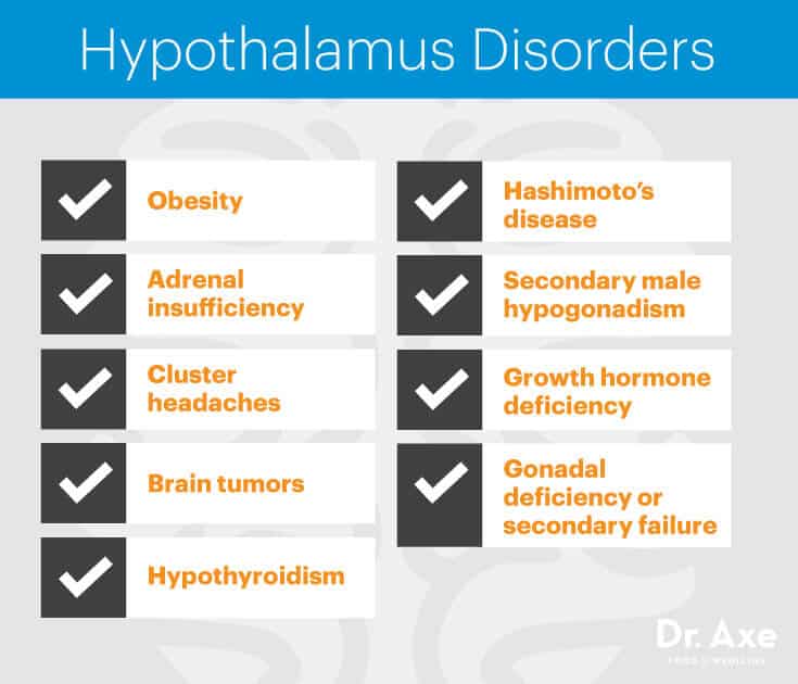 Hypothalamus disorders - Dr. Axe