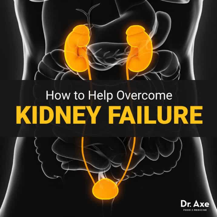 Kidney Failure Symptoms, Causes & Treatments Dr. Axe