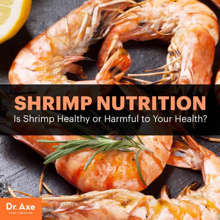 Shrimp nutrition - Dr. Axe