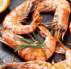 Shrimp nutrition - Dr. Axe