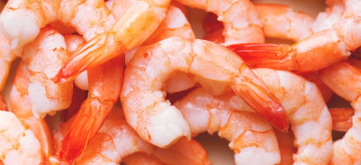 Shrimp Nutrition: Is Shrimp Healthy or Harmful to Your Health? - Dr. Axe