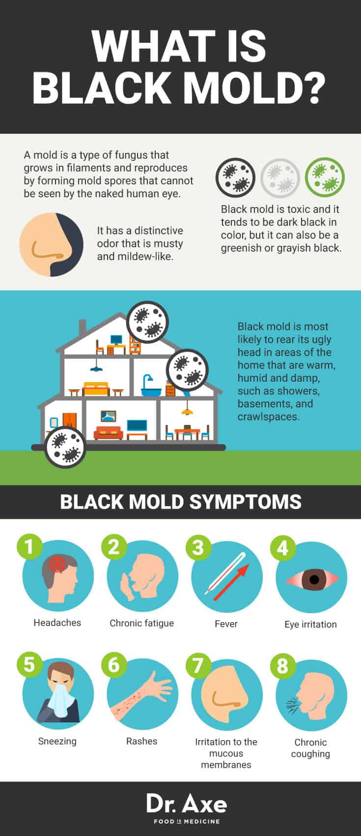 What is black mold? - Dr. Axe