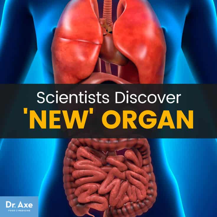 New organ - Dr. Axe