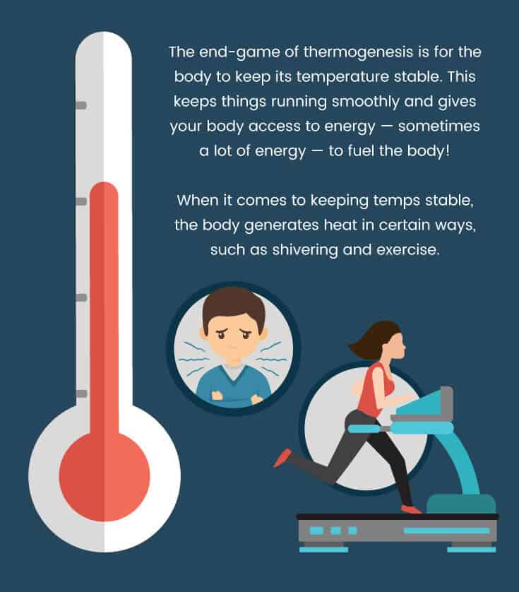 Thermogenesis - Dr. Axe