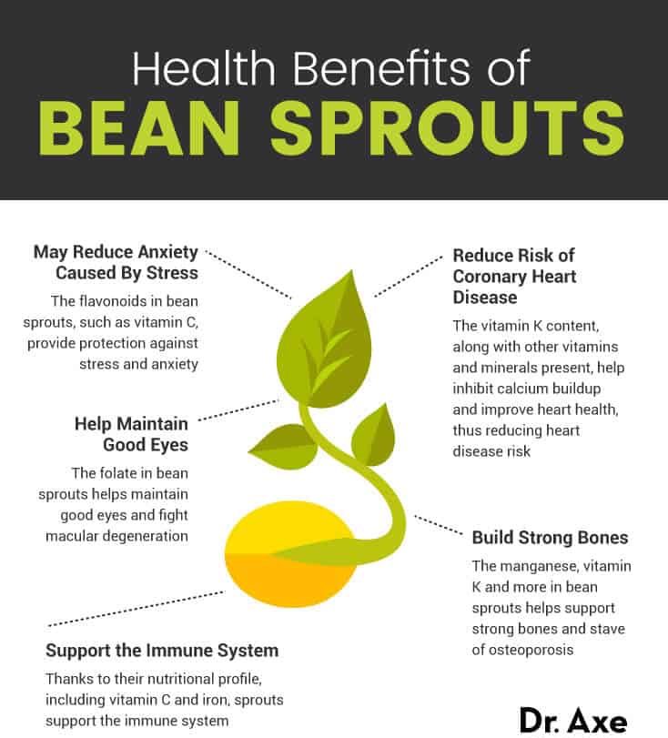 Bean sprouts benefits - Dr. Axe