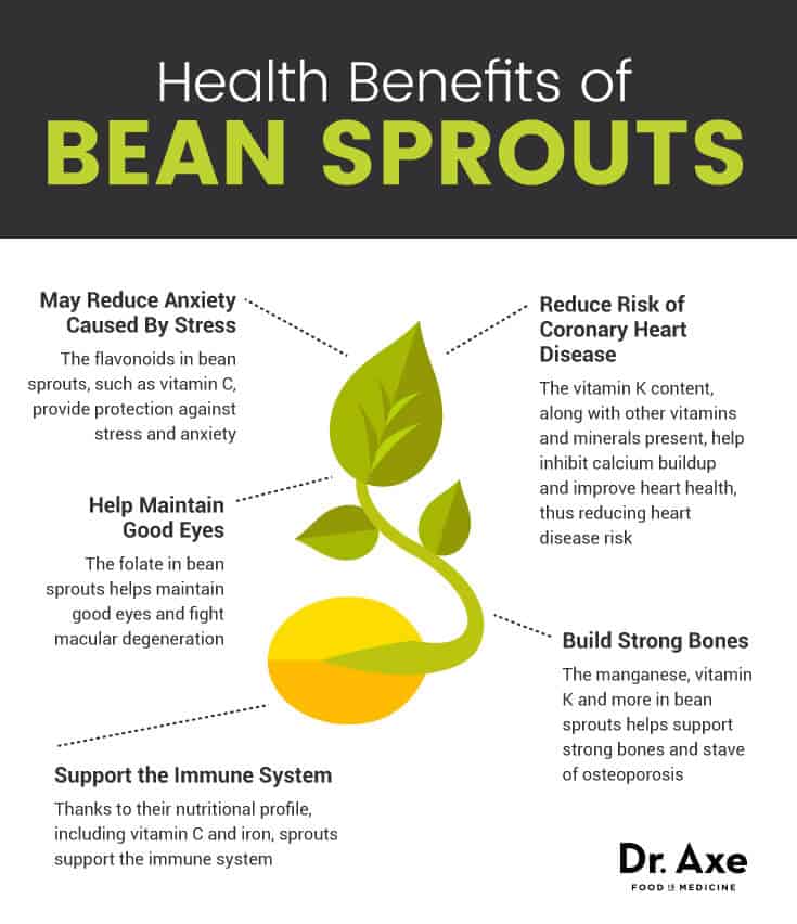 mung bean sprouts benefits