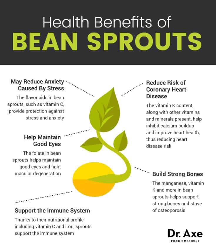 Mung Bean Sprouts Nutrition