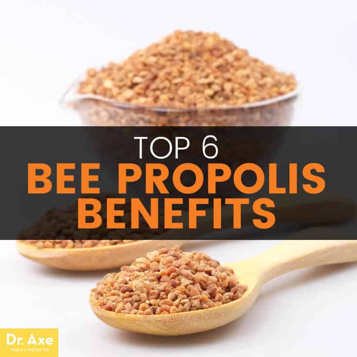 Bee propolis - Dr. Axe