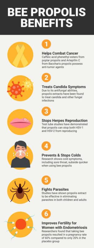 Bee Propolis Benefits, Uses, Dosage And Side Effects - Dr. Axe