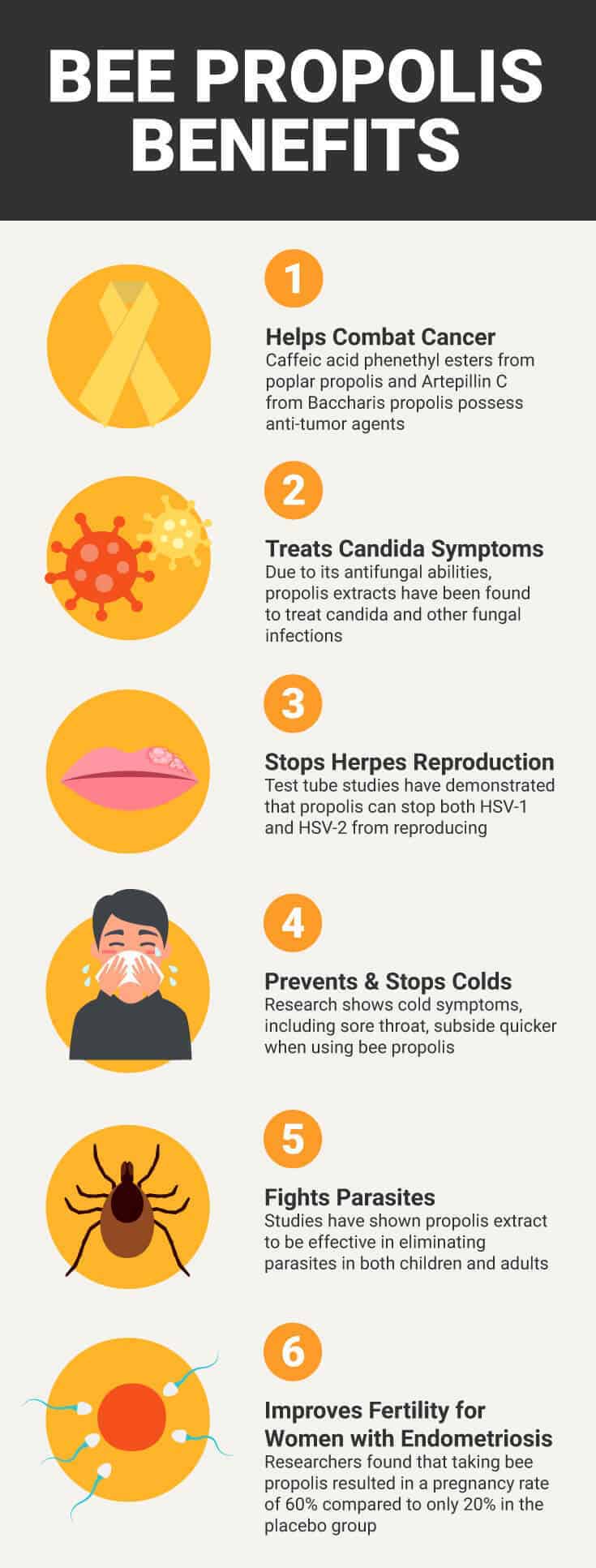 Bee propolis benefits - Dr. Axe