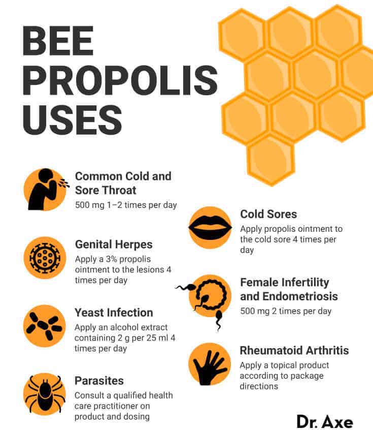 Bee propolis uses - Dr. Axe