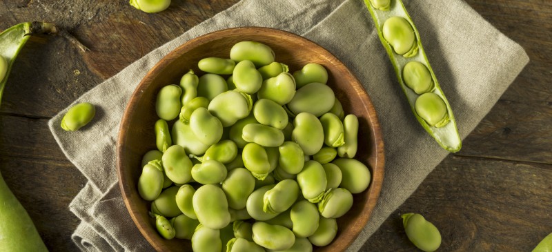 Fava Beans Benefits Nutrition Recipes and Side Effects Dr. Axe