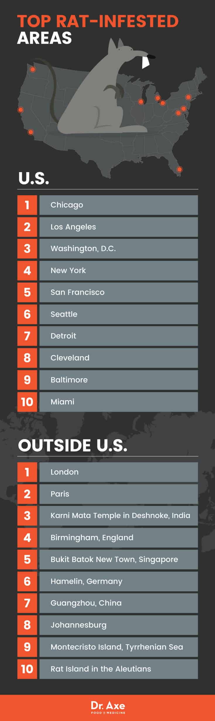 Top rat-infested areas - Dr. Axe