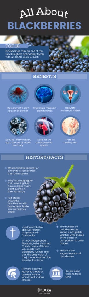 Blackberries Health Benefits, Nutrition Facts and Recipes - Dr. Axe