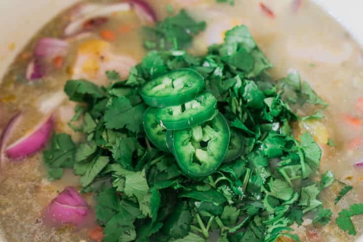 Chili verde step 7 - Dr. Axe